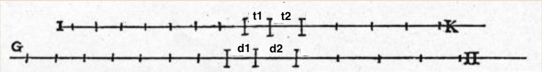 "Teorem 1 gösterimi"